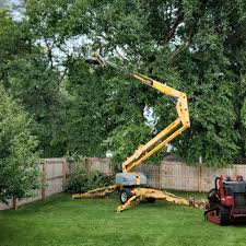 Best Lawn Edging  in Tool, TX