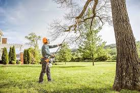 Best Lawn Grading and Leveling  in Tool, TX