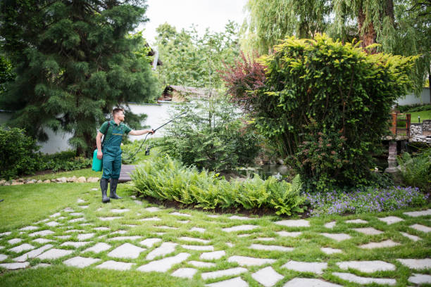 Trusted Tool, TX Tree Services Experts